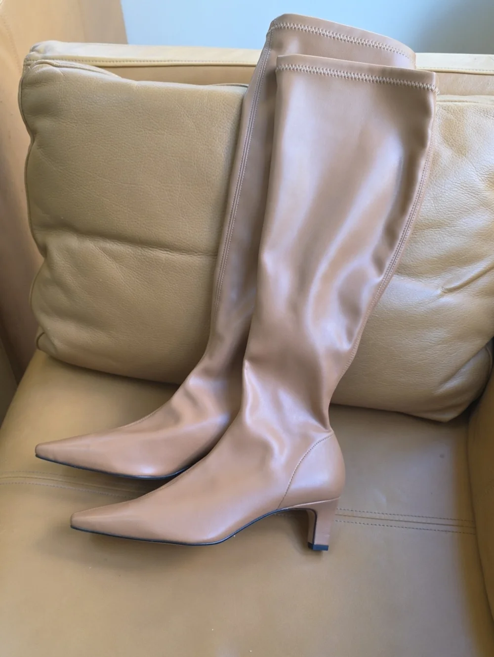 Maeve Tall Pointed-Toe Knee Boots in Beige